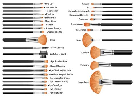 32 makeup brushes with names | Makeup brushes, Makeup, Brightening skincare