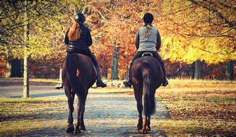 25+ Horseback Riding Styles to Try With Your Horse - Helpful Horse Hints