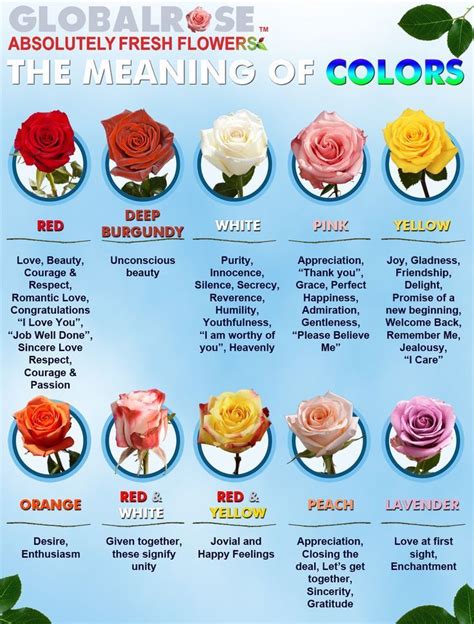 What do all the different color roses mean – The Meaning Of Color