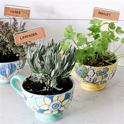 DIY Potted Herb Garden — Carmel Naturals