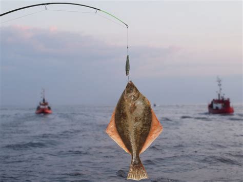 Flounder Fishing: The Top Tips for Catching a Flounder