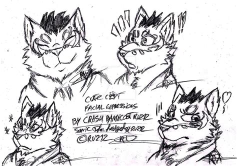 Cute Cat Facial Expressions by SONICleherissonrv212 on DeviantArt