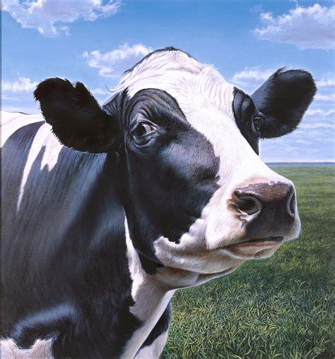 Holstein Cow Portrait Painting by Hans Droog - Fine Art America