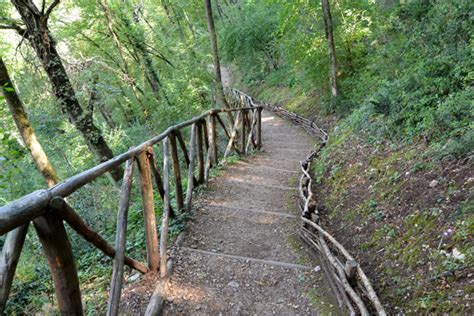 Bosco di San Francesco – The Woodland Trails of Saint Frances | Italian Food Forever