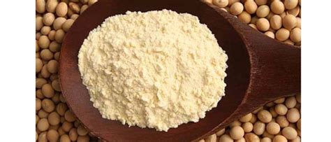 Soybean Protein Concentrate | Products | Ara Agro Farm (Pvt) Ltd.