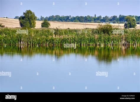 Lake with reflection. Calm rural background Stock Photo - Alamy