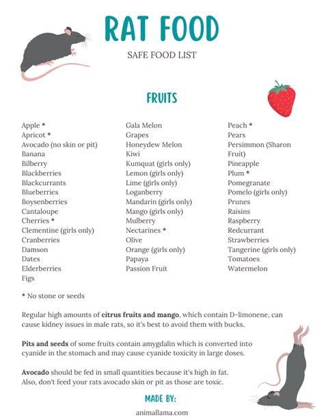 Safe Rat Food List: Veggies, Fruits, Nuts, Seeds, Herbs, Protein & More