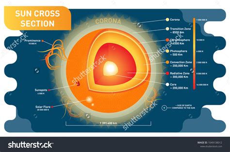 Sun Cross Section Scientific Vector Illustration Stock Vector (Royalty Free) 1049138012 ...