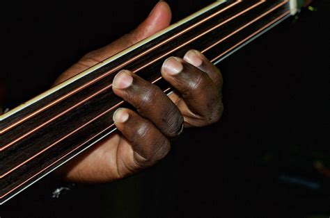 The Best Fretless Bass Guitars You Will Love - Guitar Space