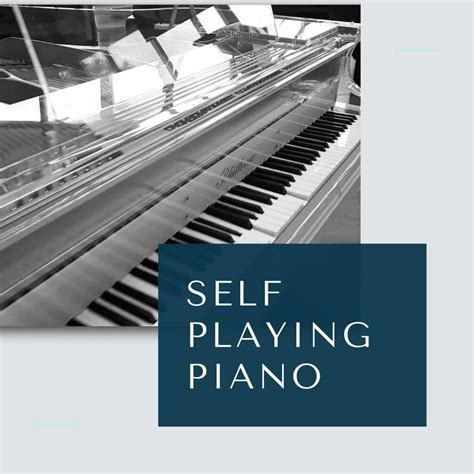 Self Playing Piano - Player Systems | Luxury Pianos Inc.