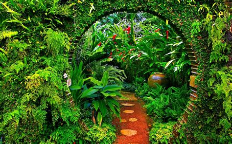 Serene Garden Path - HD Wallpaper