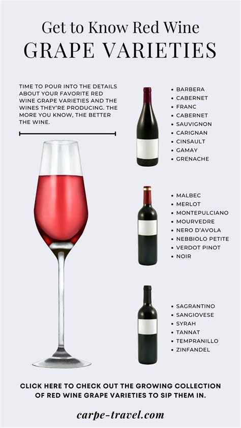 Get to Know Red Wine Grape Varieties | Wijn, Recepten