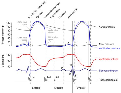 Split S2 heart sound, causes of split S2 & abnormal split S2 heart sound