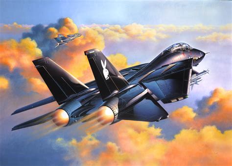 Descargar la imagen en teléfono: Militar, Grumman F 14 Tomcat, Aviones De Combate, gratis. 523028.