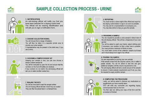 Sample collection process - urine by SLOADO - Issuu