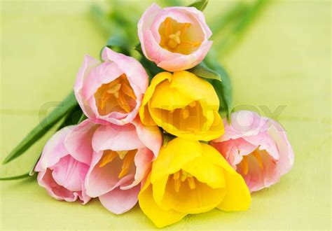 Bouquet with spring coloured tulips | Stock image | Colourbox