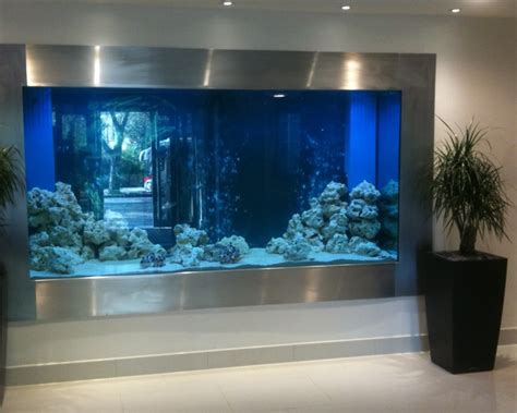 Considerations of Hygiene and Aquarium Design | Society of British & International Interior Design