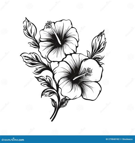 Black and White Hibiscus Flower Tattoo Drawing in Calming Palewave Style Stock Illustration ...