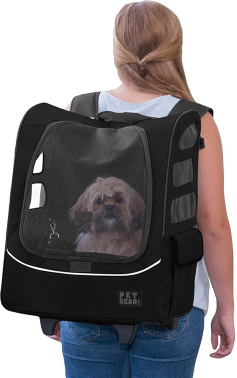 Best Dog Carrier Bags for Pups Traveling on the Go