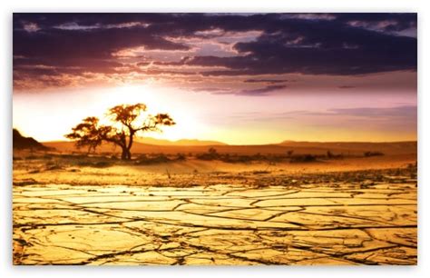 African Scenery Desktop Wallpaper - WallpaperSafari