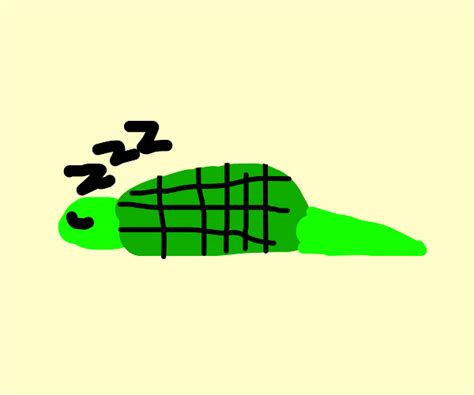 Turtle Sleeping - Drawception