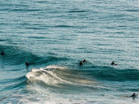 The Ultimate Guide to Surfing in Cape Town - Surf Atlas