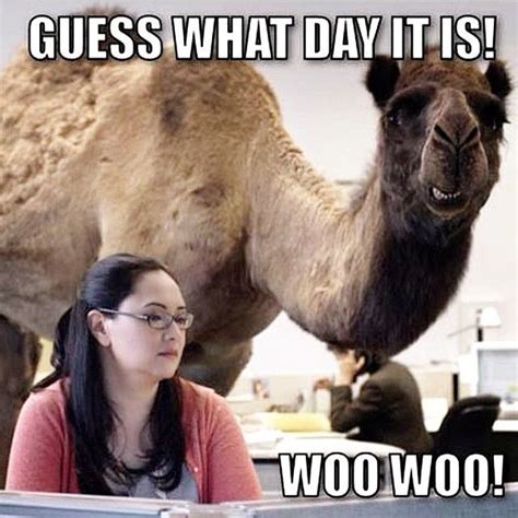 Guess What Day It Is Pictures, Photos, and Images for Facebook, Tumblr ...