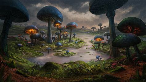 Mushroom Forest Wallpaper