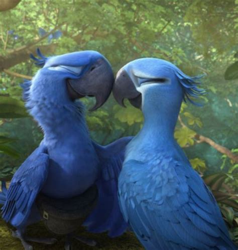 The Blue Spix's Macaw Parrot Seen In The Movie ‘Rio’ Is Now Extinct