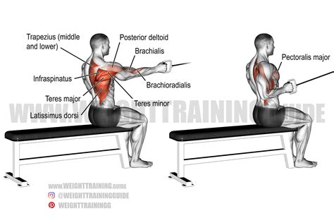 Seated one-arm cable row instructions and video | Weight Training Guide