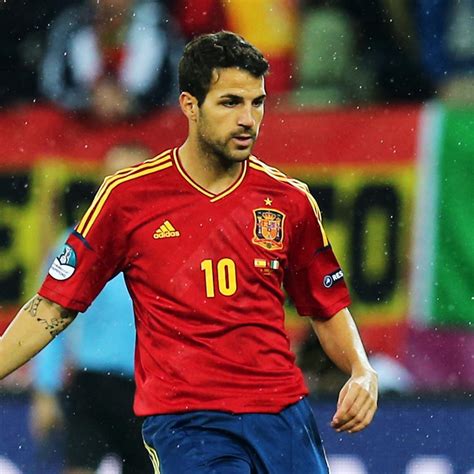 Spain Euro 12: Why Cesc Fabregas Deserves Starting Role over Fernando ...