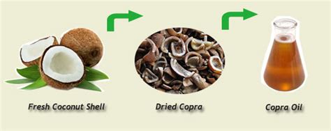 3 Main Steps to Set up RBD Coconut Oil Mill