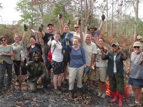 Orangutan conservation in East Kalimantan, Indonesia | Responsible Travel