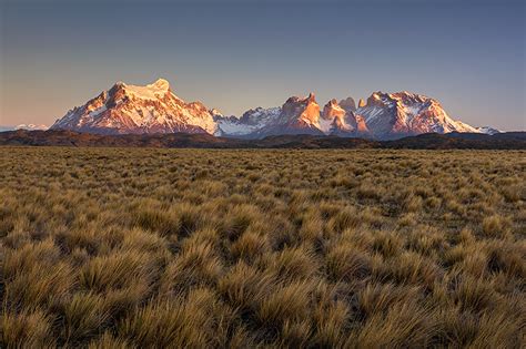 Temperate Grassland - GRASSLAND | Ingo Arndt