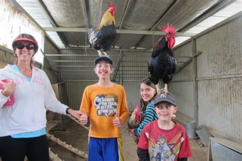 Hosanna Farmstay in Northern NSW - Brisbane Kids