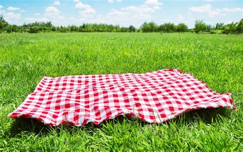 Picnic HD Wallpapers - Wallpaper Cave