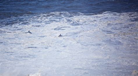 NAZARE CANYON COMES OF AGE | SURFLINE.COM