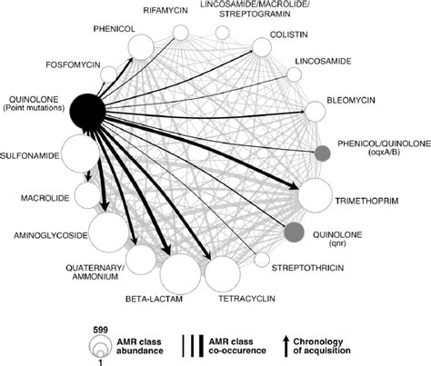 Cooccurrence of the different AMR classes (as defined by AMRfinder+),... | Download Scientific ...