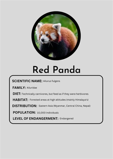 Red Panda Habitat Destruction