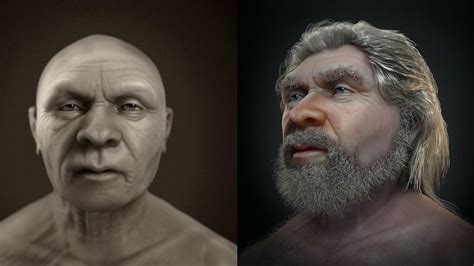 Weathered face of 'old man' Neanderthal comes to life in amazing new facial reconstruction ...