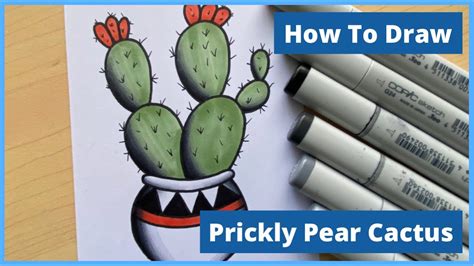 Prickly Pear Flower Drawing