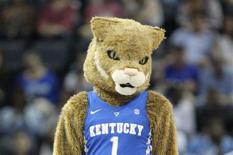 10 New Kentucky Wildcats Mascot Pictures FULL HD 1920×1080 For PC ...