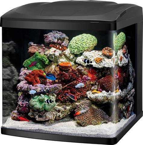 The 5 Best 40 Gallon Fish Tanks Available In Market