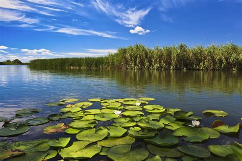 The Danube Delta & Black Sea Coast travel | Romania - Lonely Planet