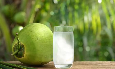 Is Coconut Water Low FODMAP? - The Coconut Mama