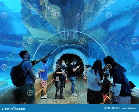 Giant Aquarium at Ocean Park Hong Kong Editorial Image - Image of entertainment, building: 248496730