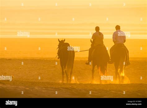 Horse riding on the beach at sunset Stock Photo - Alamy