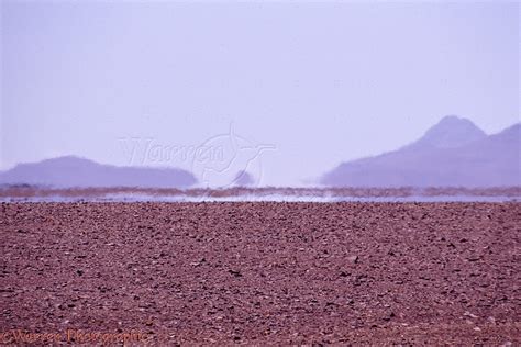 Desert mirage photo WP06973