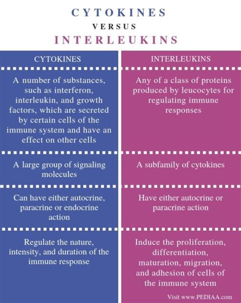 What is the Difference Between Cytokines and Interleukins - Pediaa.Com