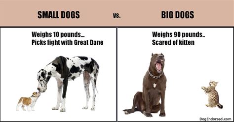 Big Dog Small Dog Meme - listsofways